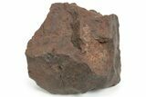 Chondrite Meteorite ( grams) - Western Sahara Desert #232922-1